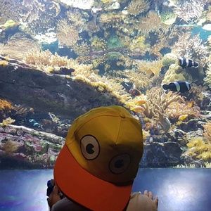 Meet your Posher, Lily